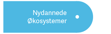 EmergingNovelEco_DK